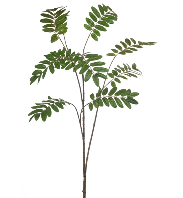 Mahonia branch x10 XL green 150cm