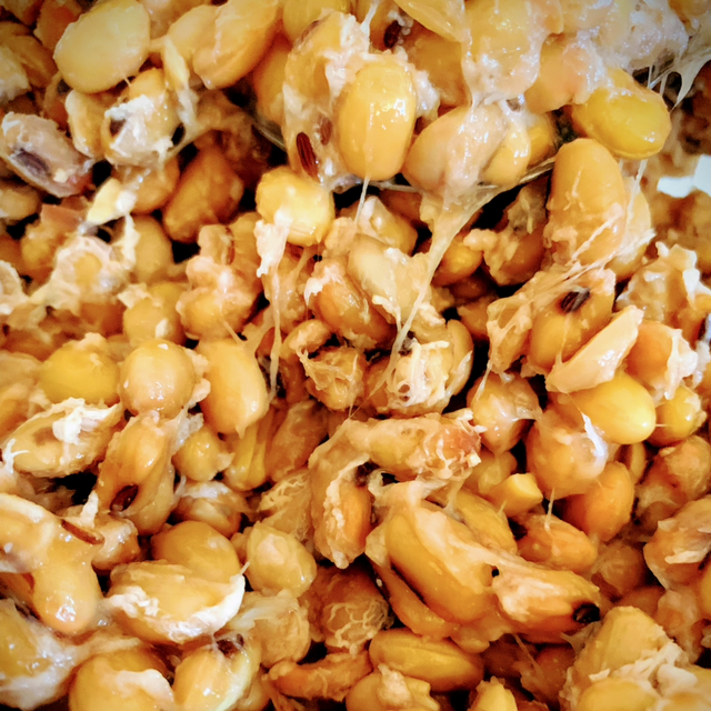 Le Kyogui Natto soja bio francais Fermenté  フランス産有機大豆経木納豆80g×10 