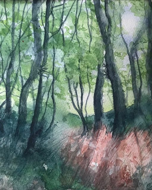 RK79 The Copse by Ruth Kirkby, 20 x 20cm Watercolour