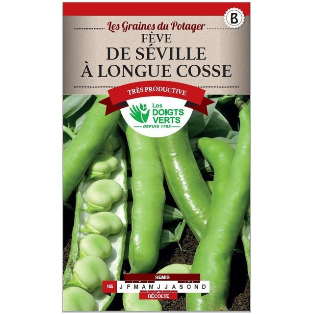 FEVE DE SEVILLE LONGUE COSSE