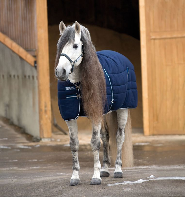Couverture HORSEWARE Rambo® Stable Rug 400g