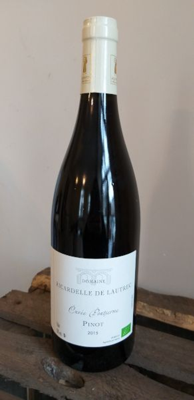 Pinot Noir scène 2 2023 - Rouge Sec Tranquille - Domaine Ricardelle de Lautrec (Lionel Boutié)