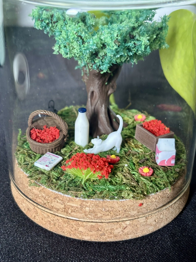 đ Terrarium verre 10cm - Ădition Ă©tĂ©