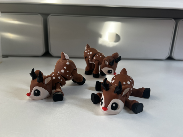 Reindeer