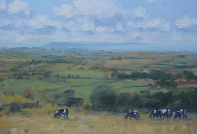 Cows grazing and Portland