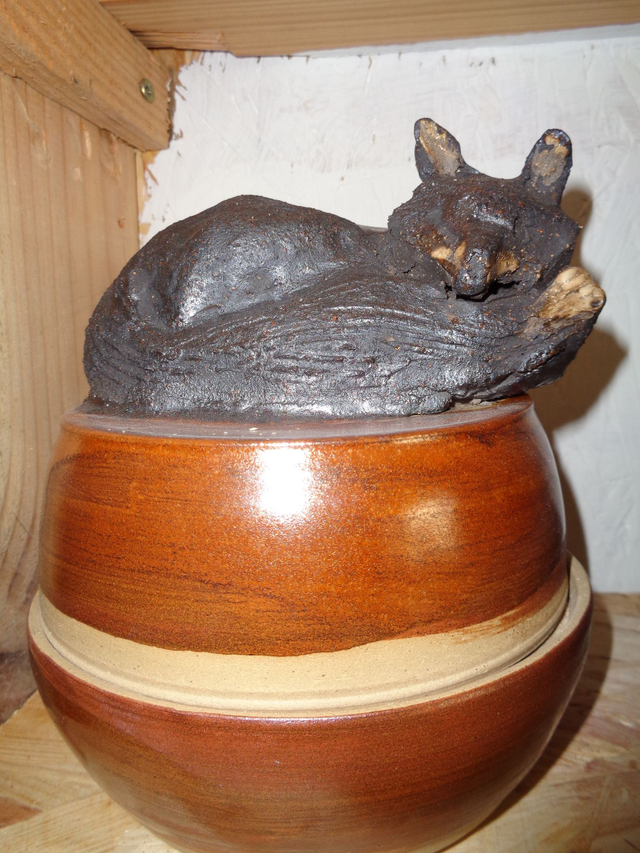 Boite "Grand renard Repos "