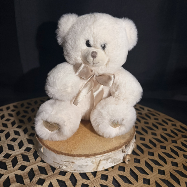 Ourson en peluche 