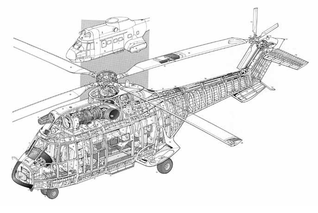 11 - Carlos Soto Román