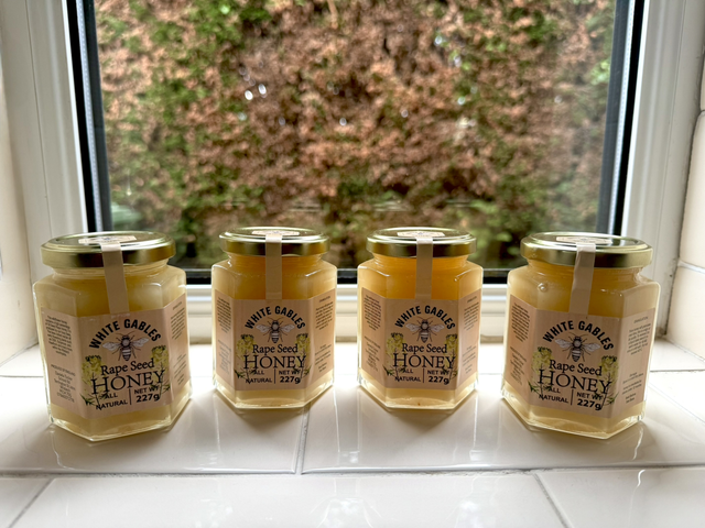 8oz Rapeseed Honey