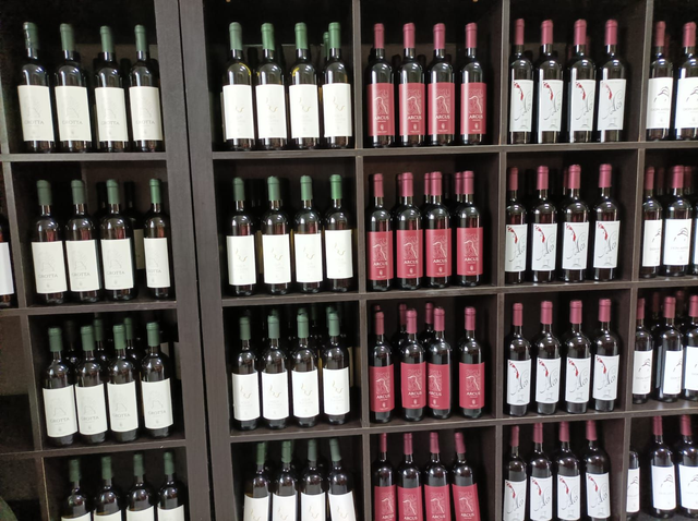 Un giorno in cantina