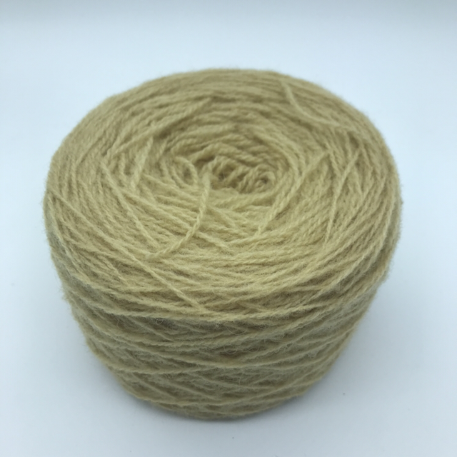 Belgolor #71 - Tanaisie -