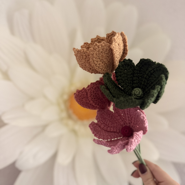 Cosmos (personnalisable pour créer votre bouquet)