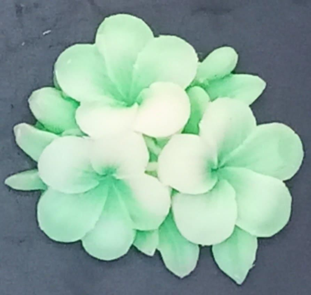 Pomme verte Craquante 