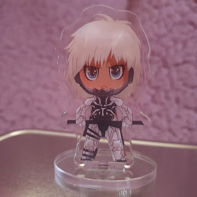 Raiden Dress Up Standee Set