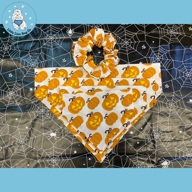 Pumpkin Patch Handmade Dog Accessories