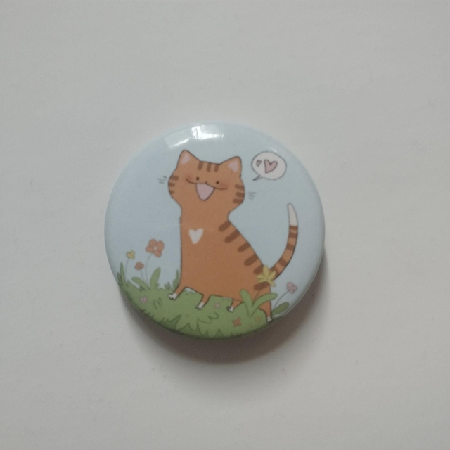 Cat in patch of grass