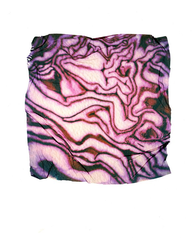 Kitchen Artwork - Polaroid Emulsion Lift Red Cabbage - 12x12 inches