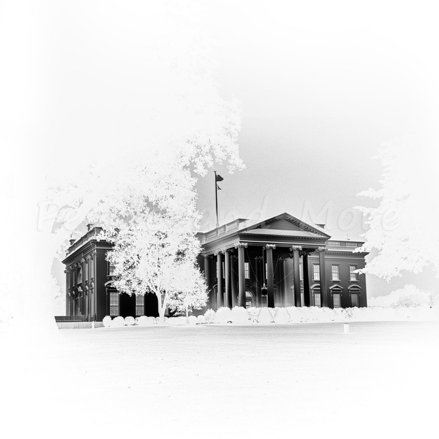 2024-46 The Dark House