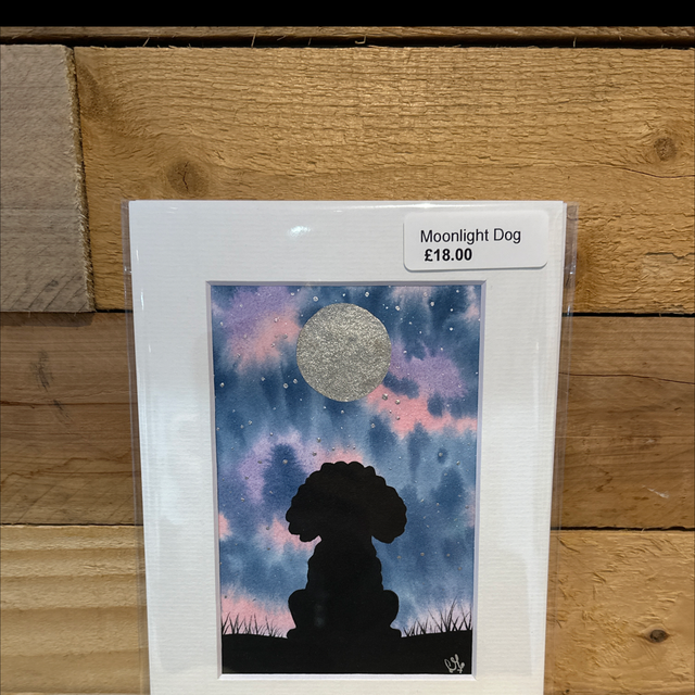 Moonlight Dog