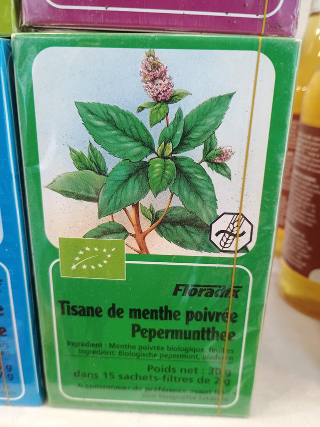 Salus - Pepermuntthee