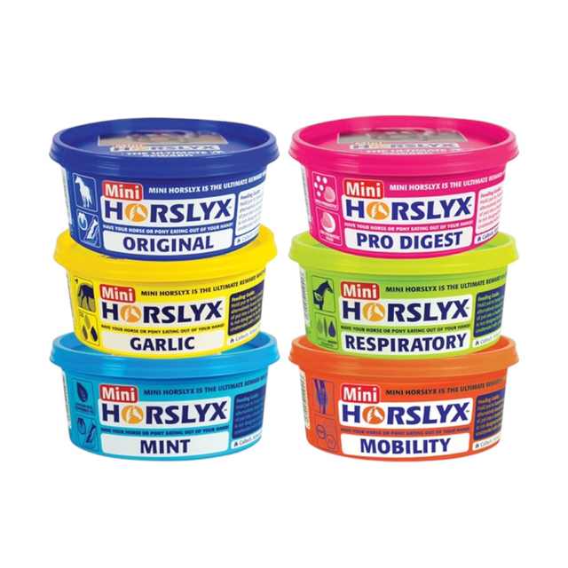 Horslyx Mini Lick 650g