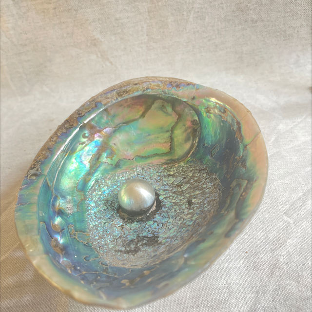 Abalone  Muschel auf Silbersockel mit Silberkugel