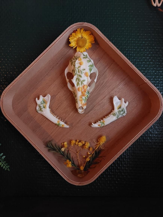 Cadre fleurit jaune avec crâne de renard en résine 