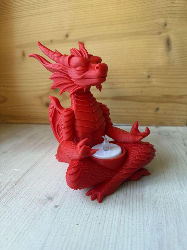 Meditating Dragon