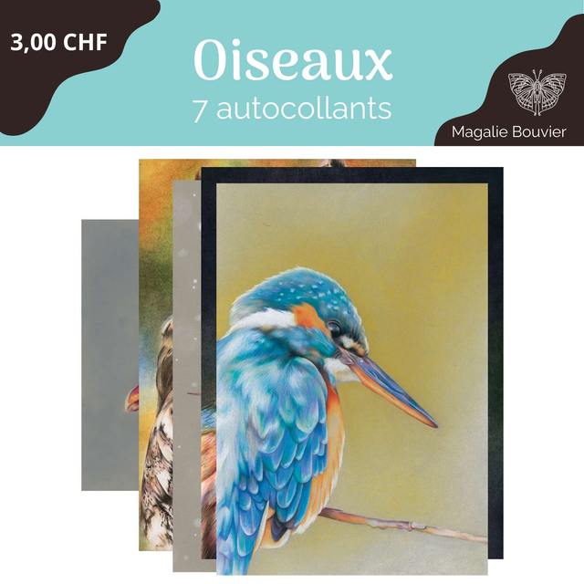 Pack de stickers oiseau - 7 pièces