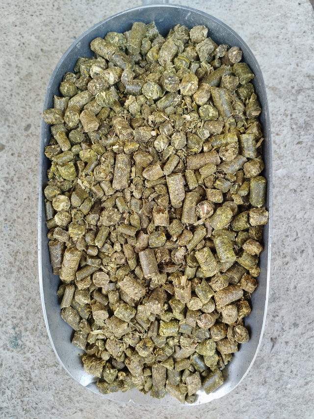 Luzerne bio en bouchon