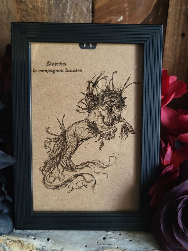 Cadre &quot;Ekaërius le Compagnon Lunaire&quot;