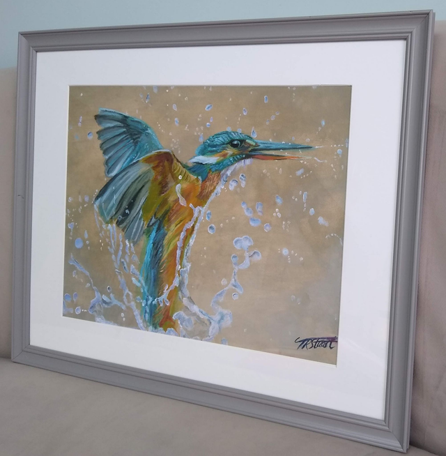 Make a Splash prints & merch