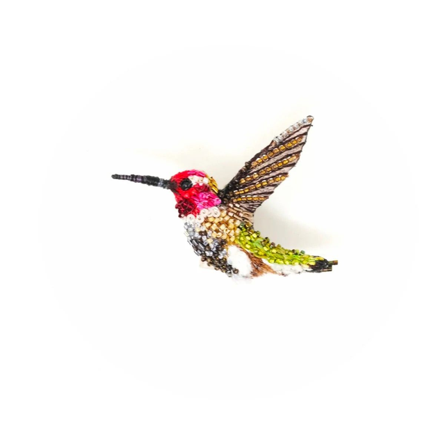 Colibri brillant