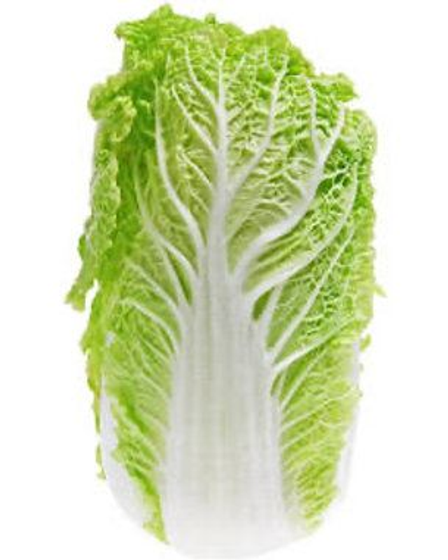 Chinese cabbage 