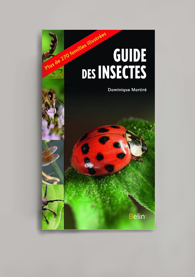 Guide des insectes (BELIN:)