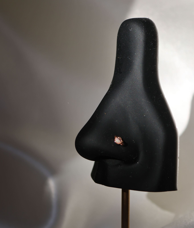 Piercing de nez Cosmo rose gold