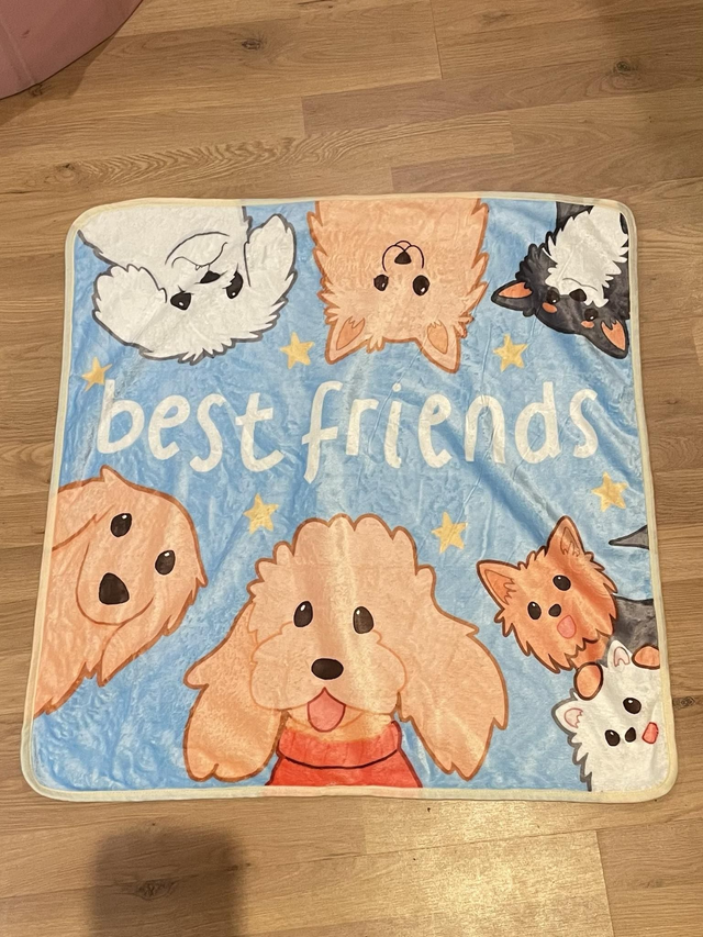 "Best friends" Blanket 