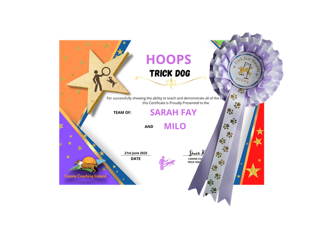 Hoops - Cert &amp; Rosette  