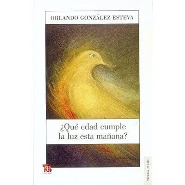 ¿Qué edad cumple la luz esta mañana? – Orlando González-Esteva