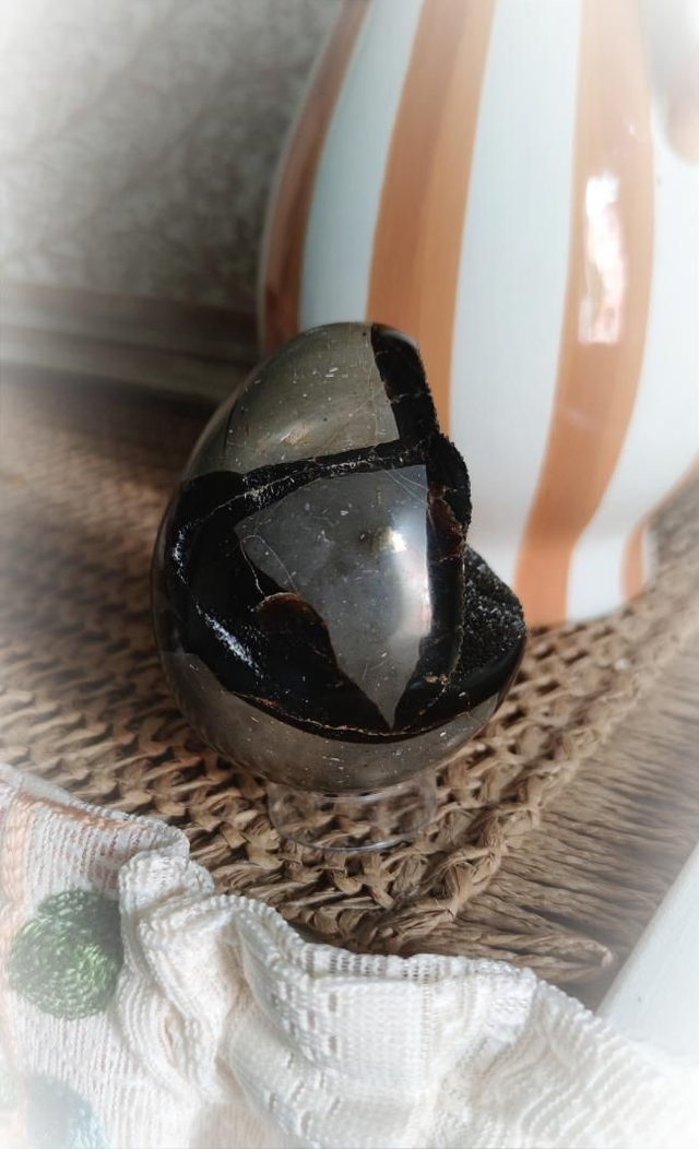 septaria sauvage ~ oeuf