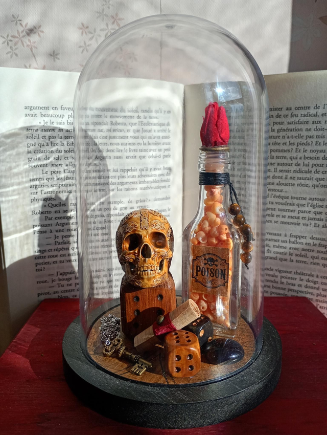 D01 pirate fleur rouge