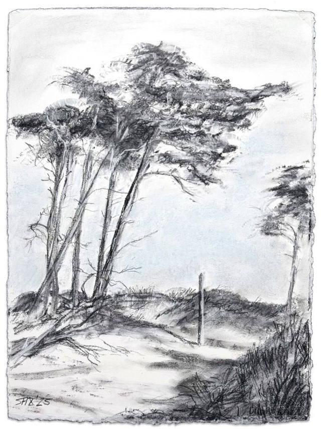 "Am Müllerweg" Kohlezeichnung