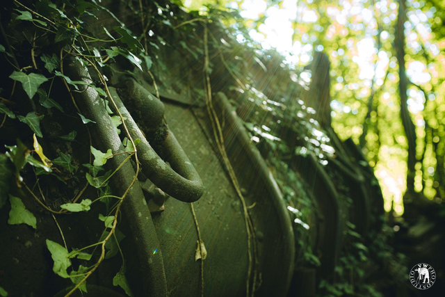 "Faire carrière dans la nature" Tirage Fine Art sur Alu-Dibond 30x45cm