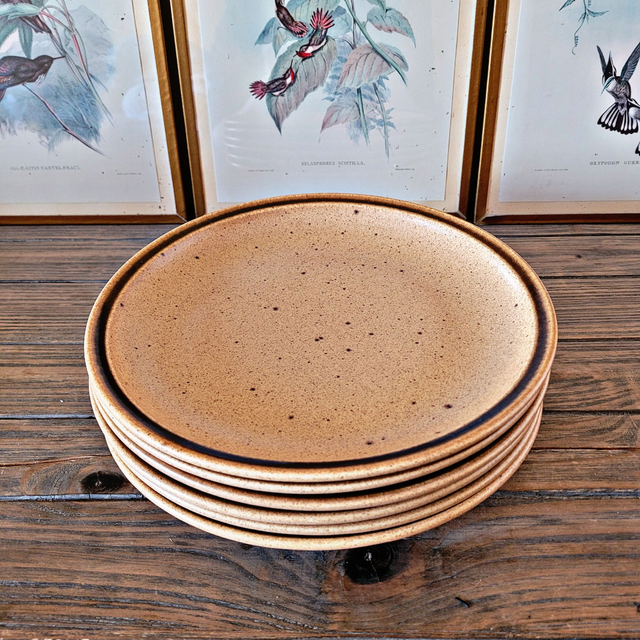 X Assiettes plates grès de Bourgogne Sarreguemines (lot de 6)