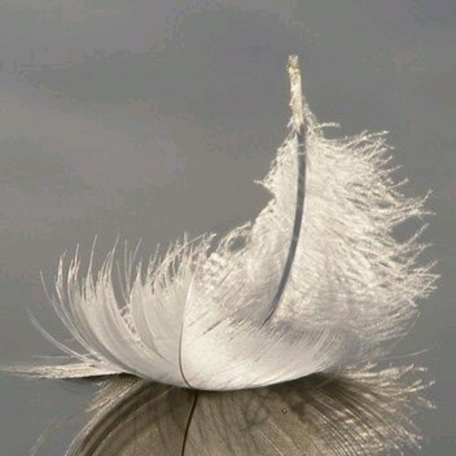 guidance spirituelle/guidance intuitive