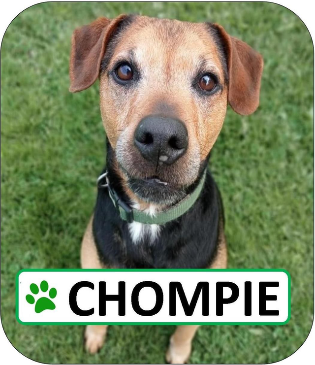 Chompie Sponsorship Pack