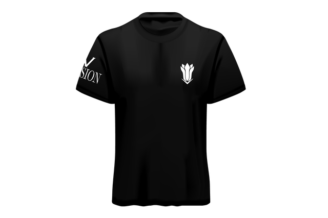 Gotei 13 - Division 4