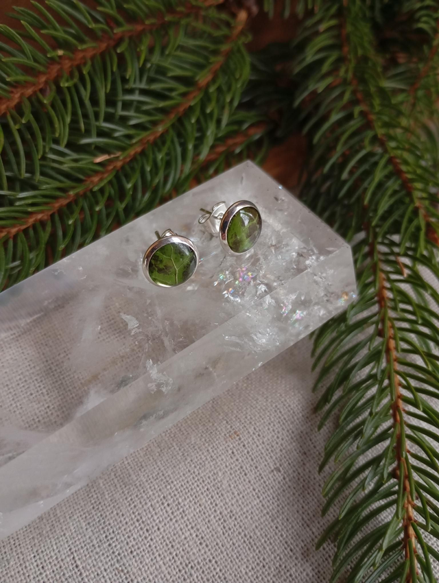 Clous d'oreilles - Lierre