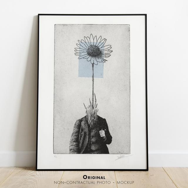 Fine art etching / Not framed / Bellis Perennis (The Daisy)