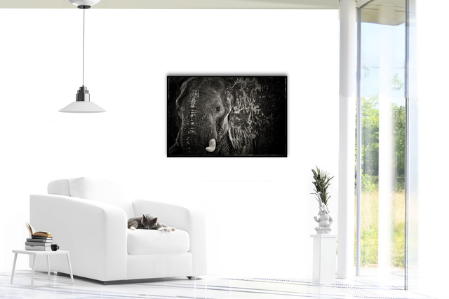 Tirage Dibond Black Ellies : "Black Soulages" cm